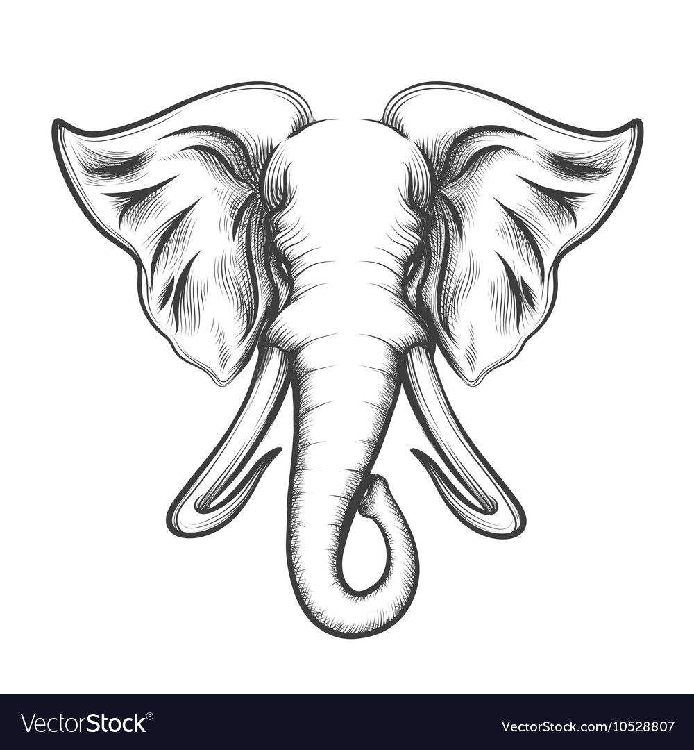 Free Free Elephant Head Svg 400 SVG PNG EPS DXF File