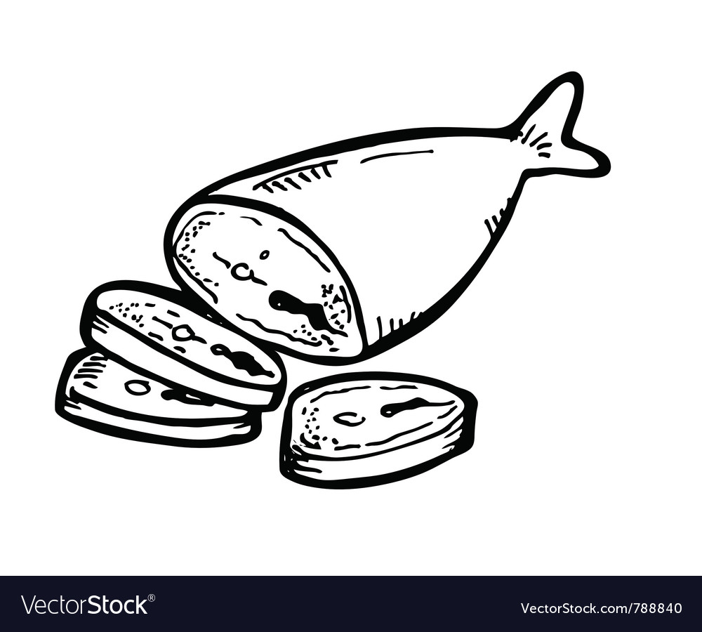 Fish meat Royalty Free Vector Image VectorStock