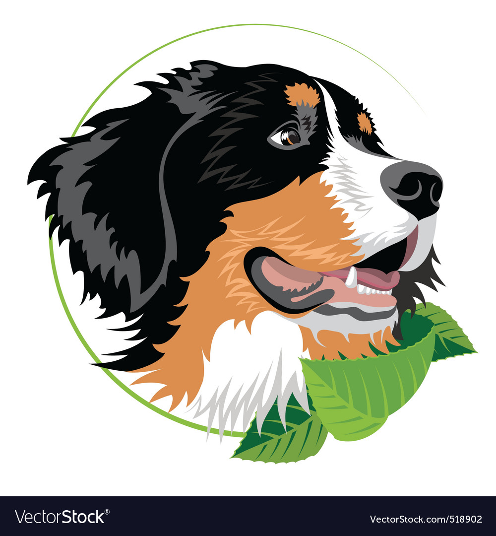 Free Free 116 Bernese Mountain Dog Svg SVG PNG EPS DXF File