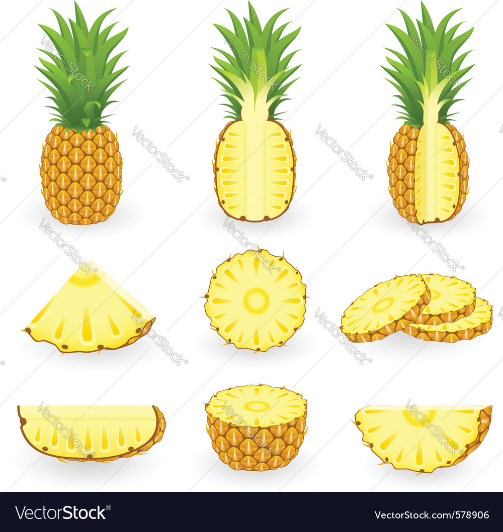 Pineapple Royalty Free Vector Image - VectorStock