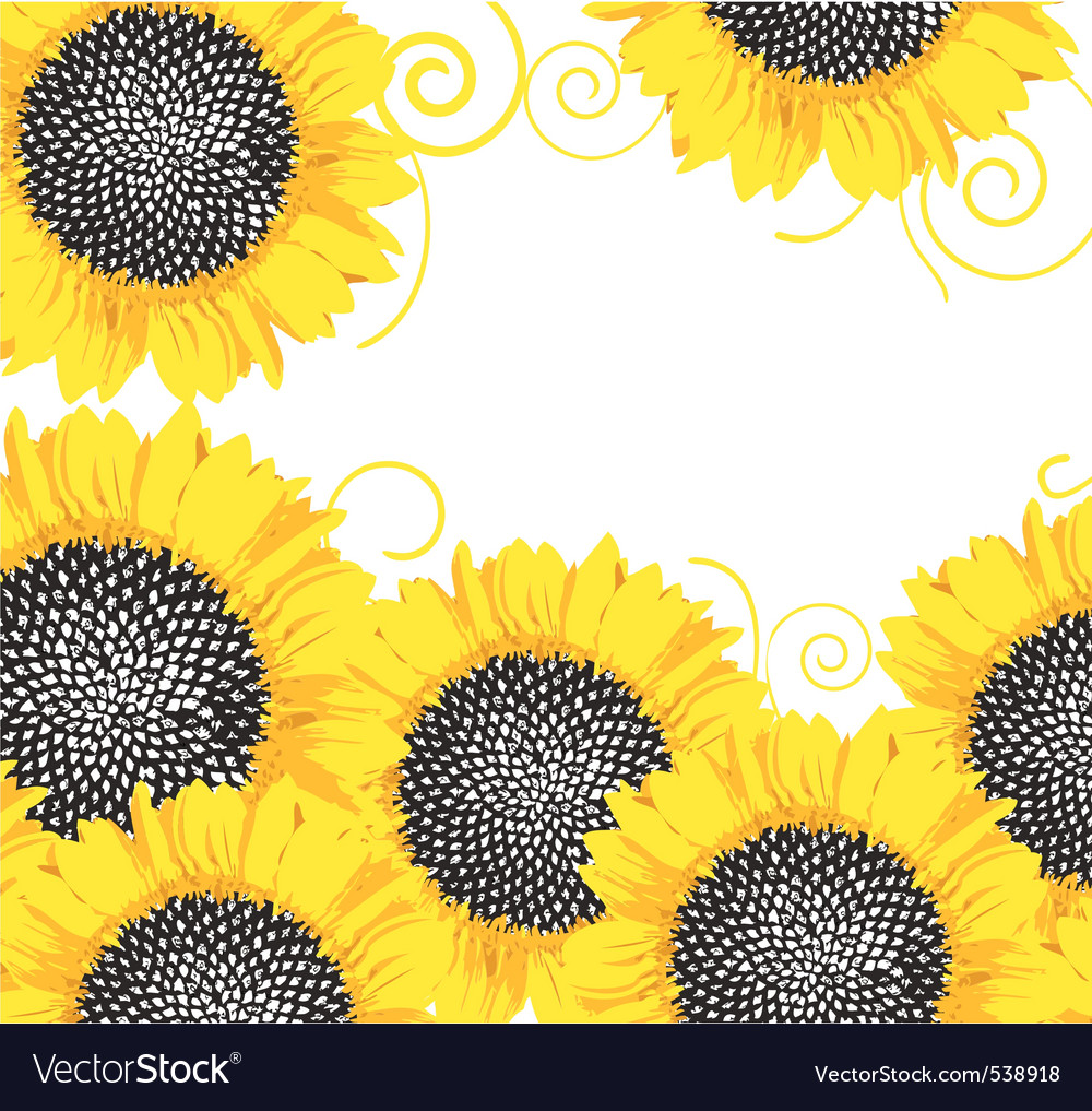 Download Sunflower border Royalty Free Vector Image - VectorStock