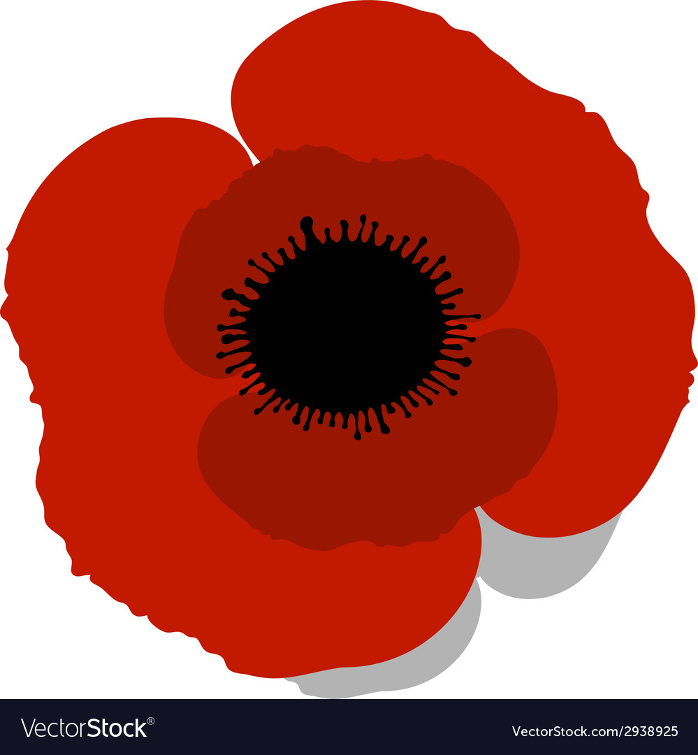 Red Poppy Royalty Free Vector Image Vectorstock Red Poppy Royalty Free Vector Image Vectorstock