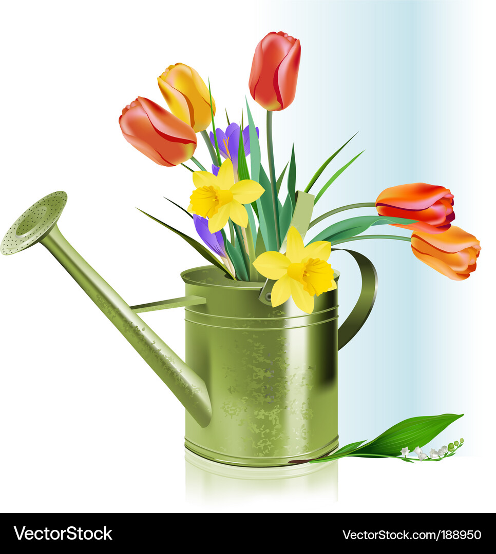 Watering can and flowers Royalty Free Vector Image