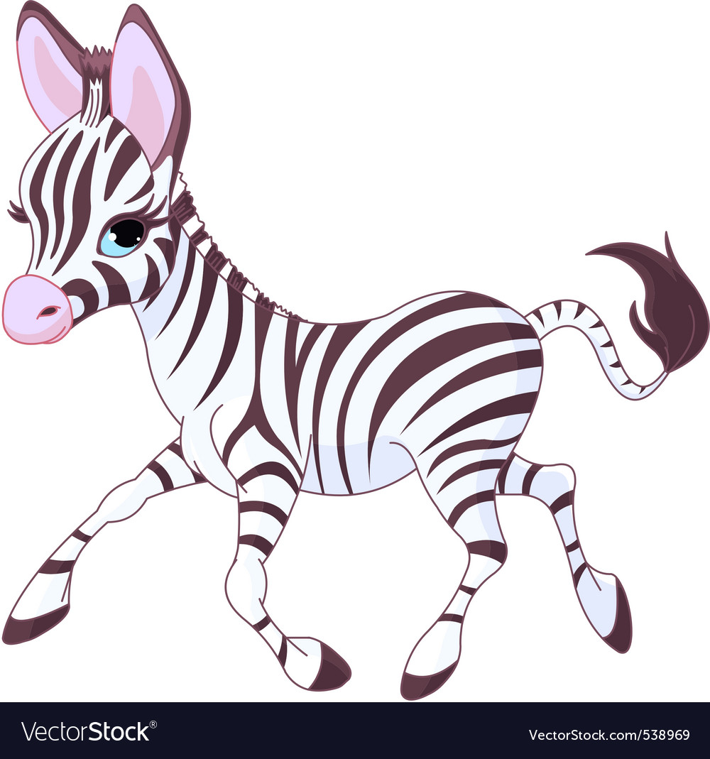 Download Baby zebra Royalty Free Vector Image - VectorStock