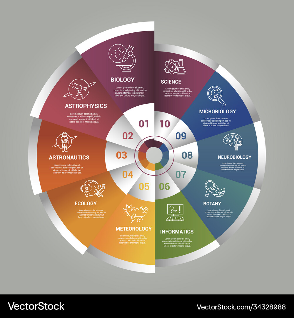 Infographic science template icons in different Vector Image