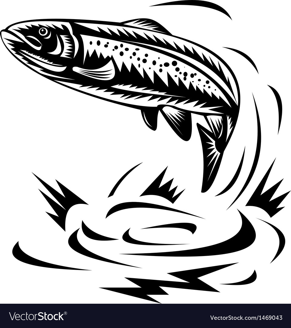 Download Trout fish jumping Royalty Free Vector Image - VectorStock