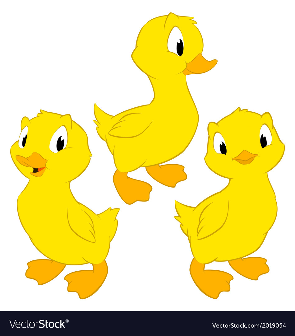 cartoon-ducklings-royalty-free-vector-image-vectorstock