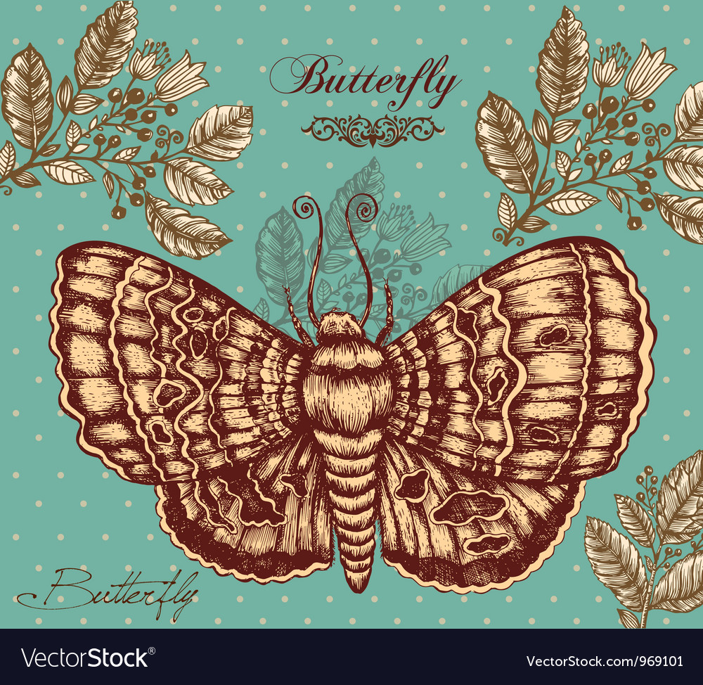 Free Free 281 Vintage Butterfly Svg SVG PNG EPS DXF File