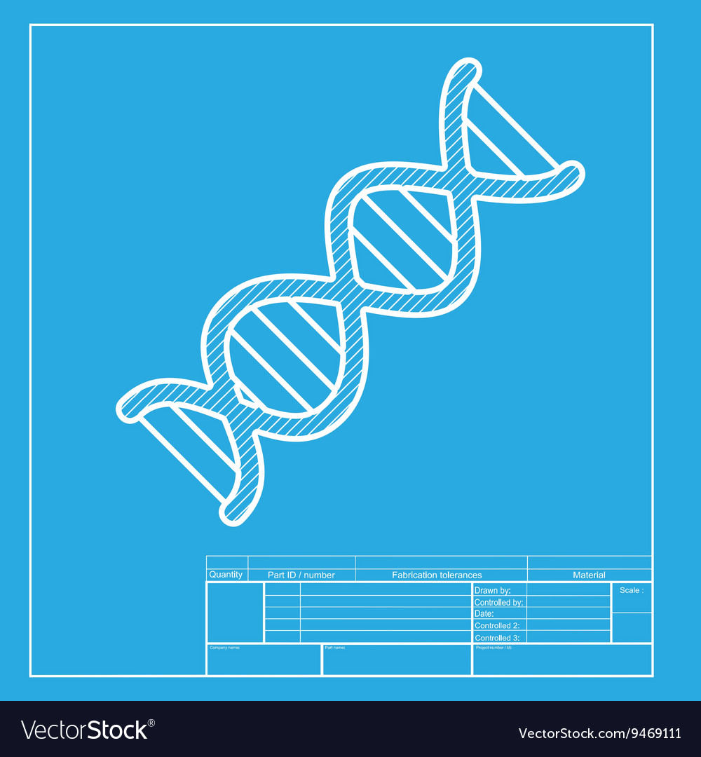 blueprint gene blueprint gene