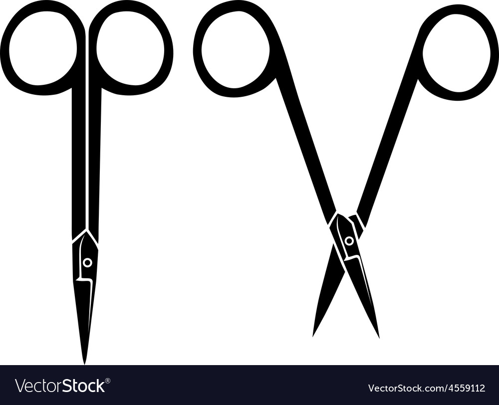 Nail scissors Royalty Free Vector Image VectorStock