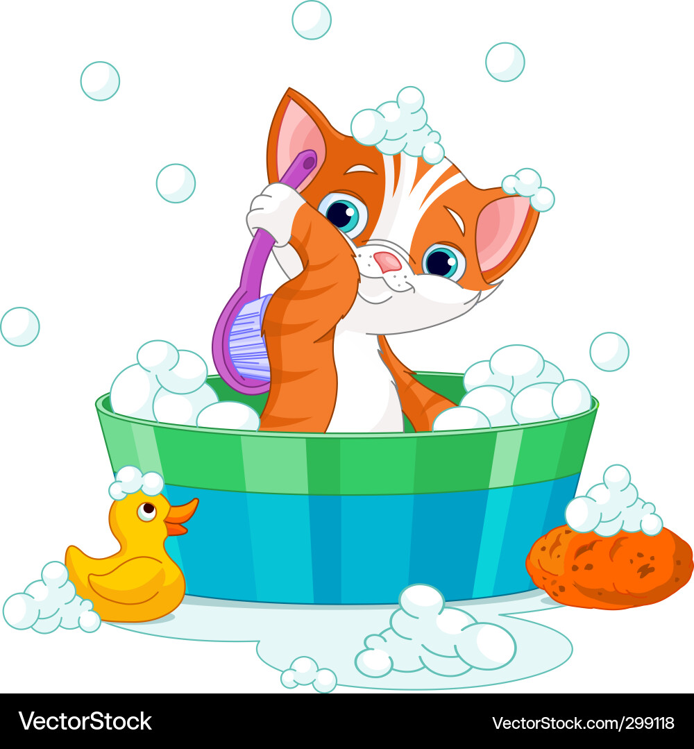 Cat having a bath Royalty Free Vector Image VectorStock