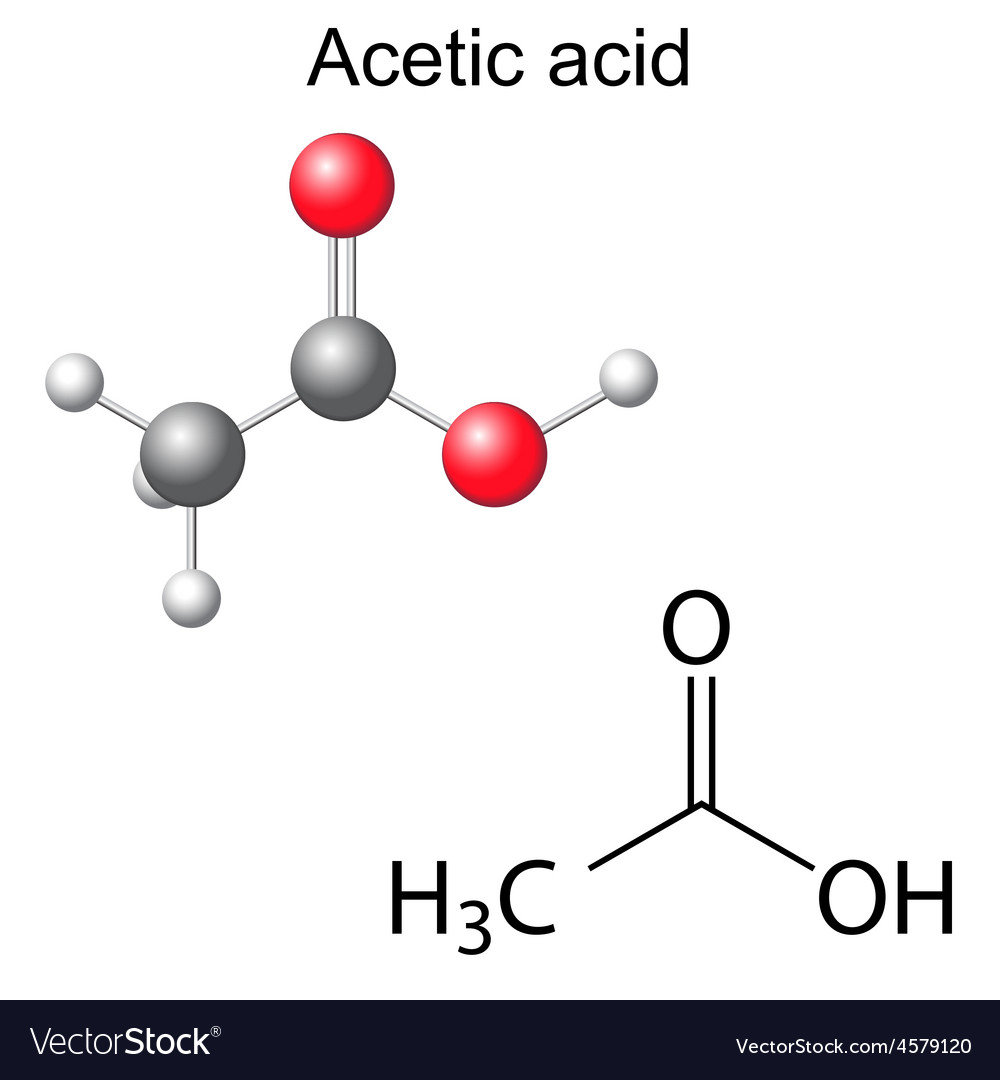 Formula and model of acetic acid molecule Vector Image lewis diagram hcooh 
