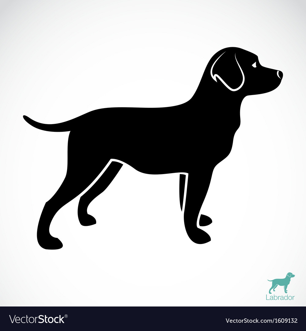 Dog Labrador Royalty Free Vector Image - VectorStock