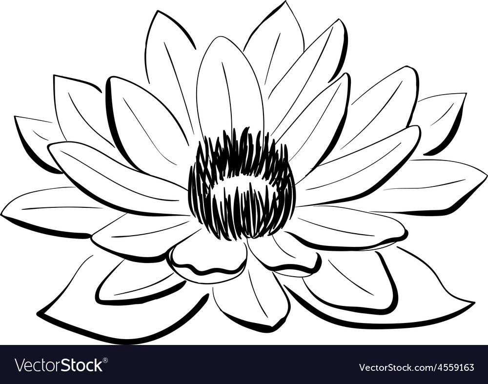 Free Free 153 Vector Lotus Flower Svg SVG PNG EPS DXF File