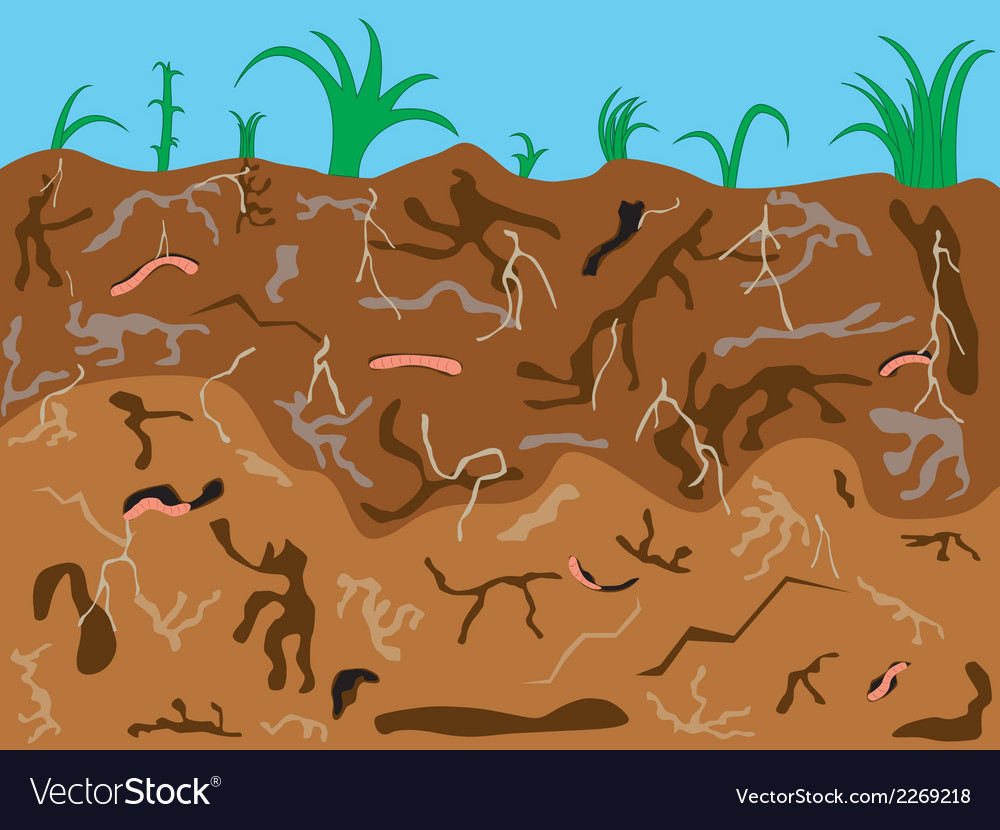 Worms underground Royalty Free Vector Image VectorStock