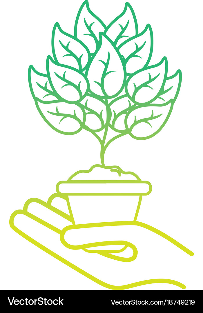 Isolated plant design Royalty Free Vector Image