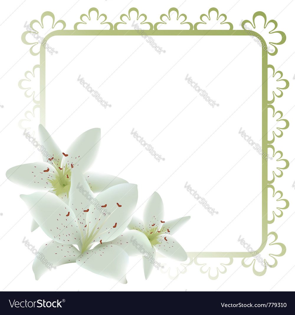 Lily flowers frame Vector Image by SpringNymph Image 779310