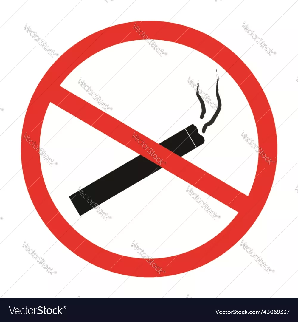 No smoking Board Poster art vector image