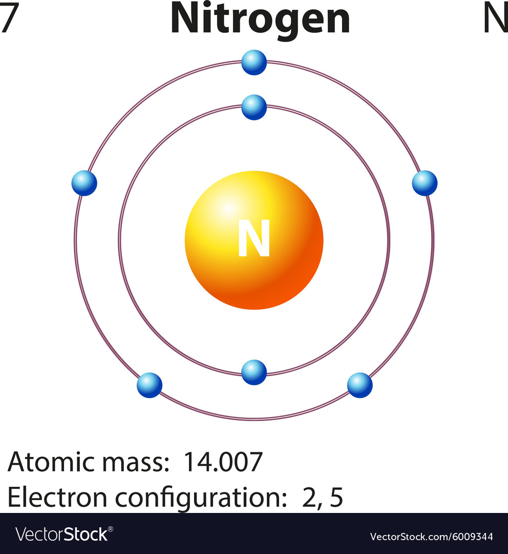 Diagram representation of the element nitrogen Vector Image