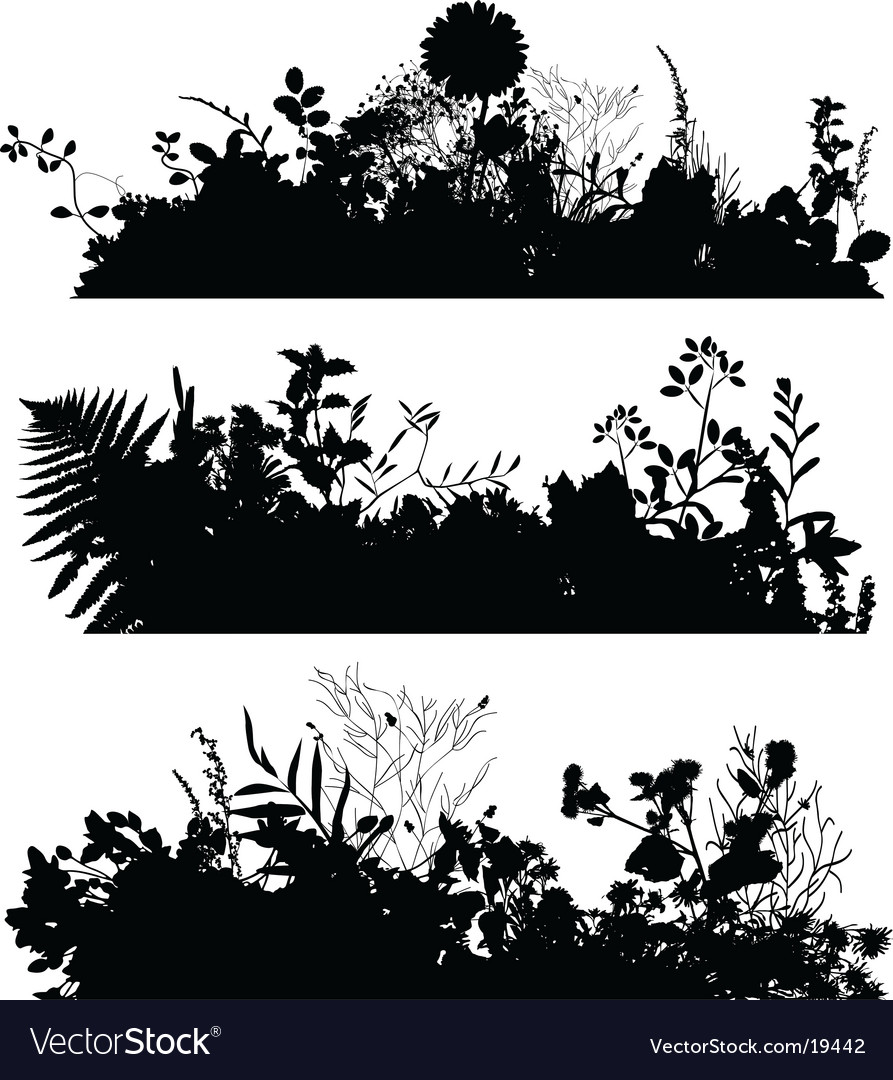 Download Plant silhouettes Royalty Free Vector Image - VectorStock
