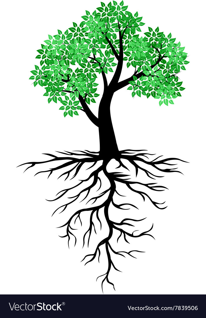 Tree root Royalty Free Vector Image - VectorStock