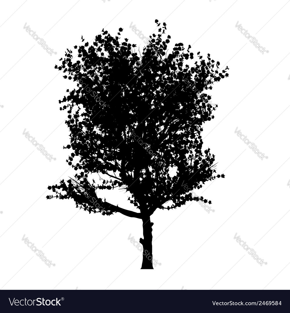 red apple tree silhouette vector image