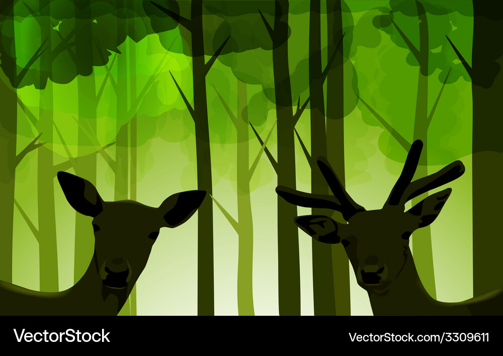 Forest deers Royalty Free Vector Image - VectorStock