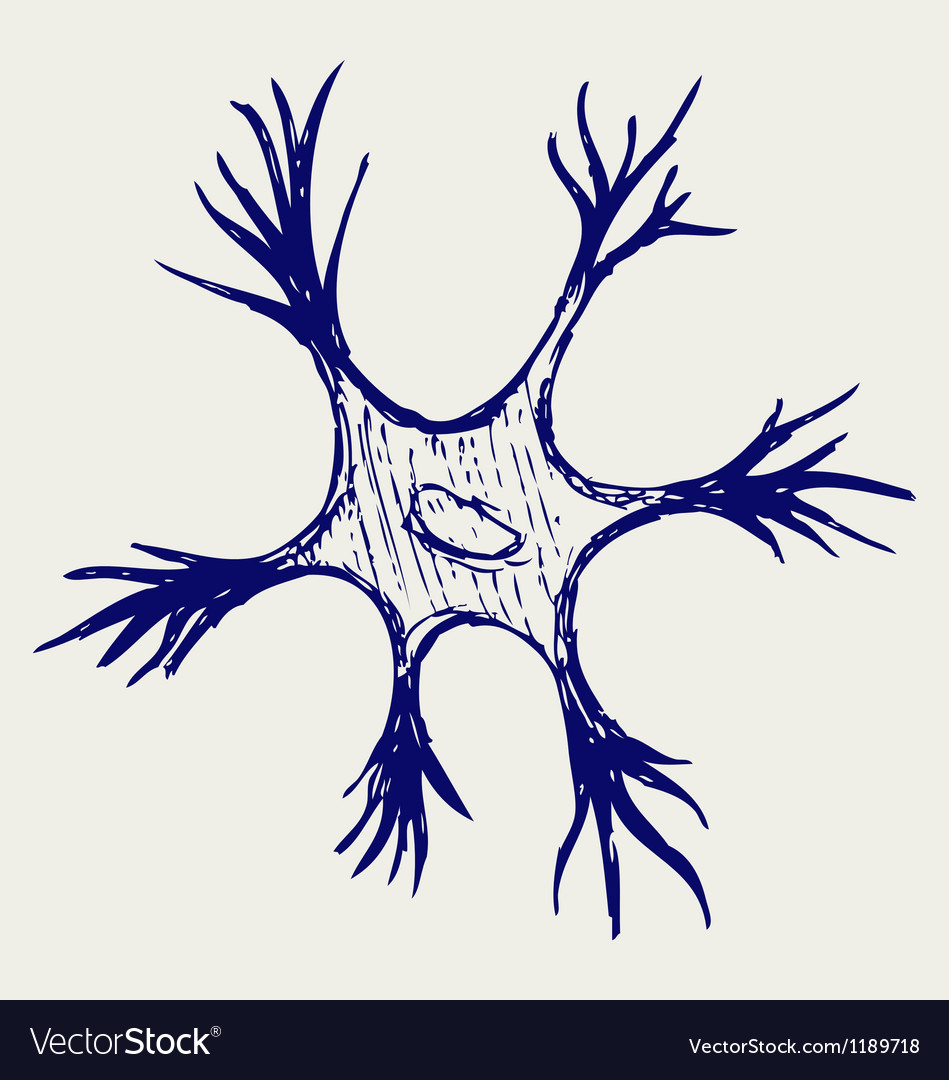 Neuron Royalty Free Vector Image - VectorStock