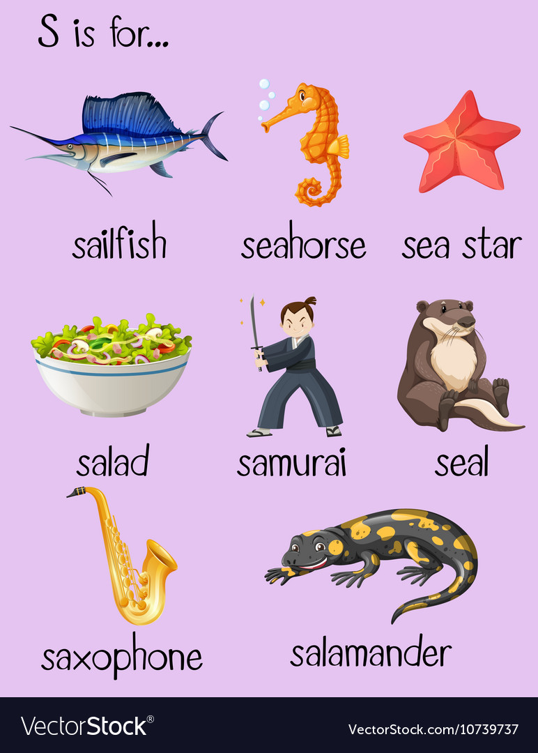 Many words begin with letter S Royalty Free Vector Image
