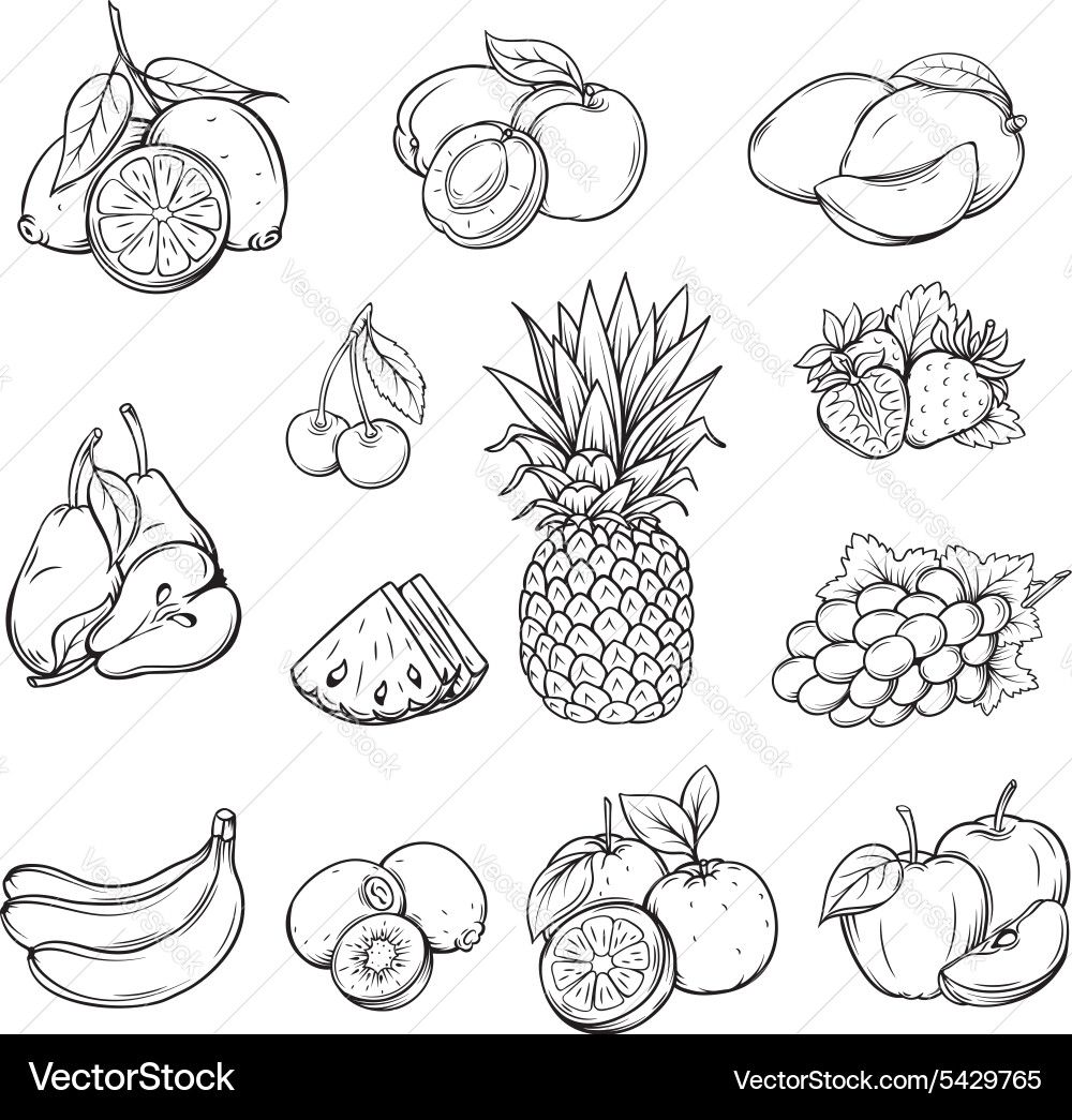 Set of different hand drawn fruit Royalty Free Vector Image VectorStock