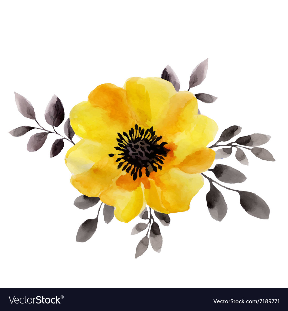 Download Watercolor of yellow flower isolated Royalty Free Vector