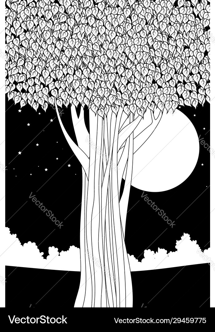 Black And White Color Bodhi Tree Royalty Free Vector Image