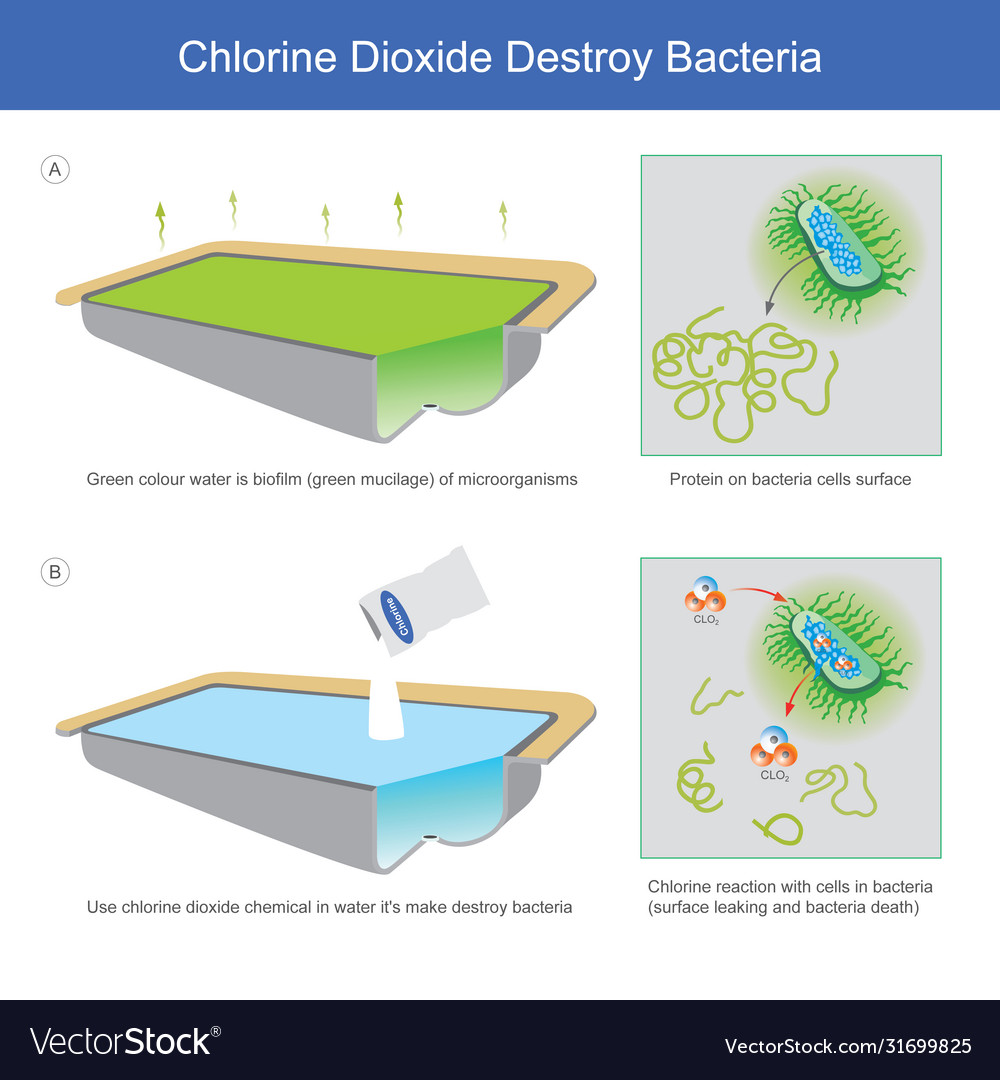 How Long Does Hot Water Take To Kill Bacteria at Mark Leonard blog