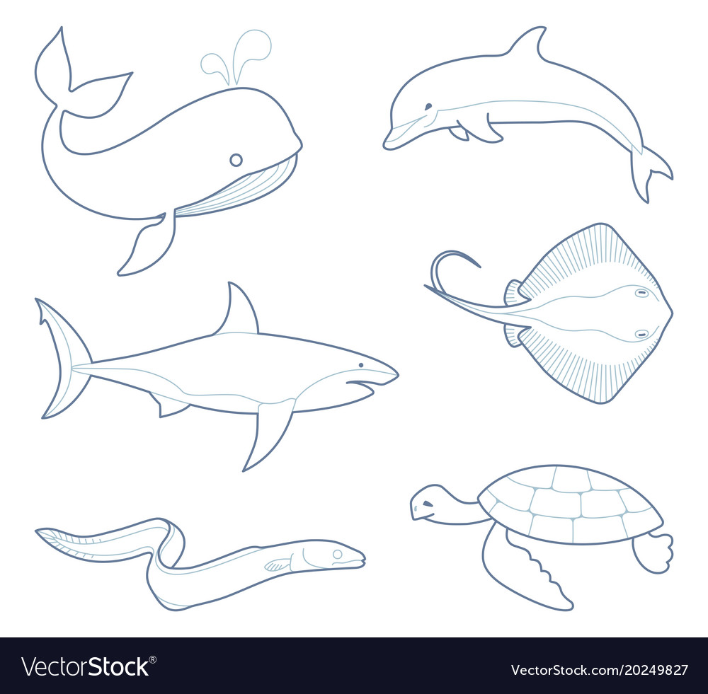Outlines Of Sea Creatures Royalty Free Vector Image Outlines Of Sea Creatures Royalty Free Vector Image
