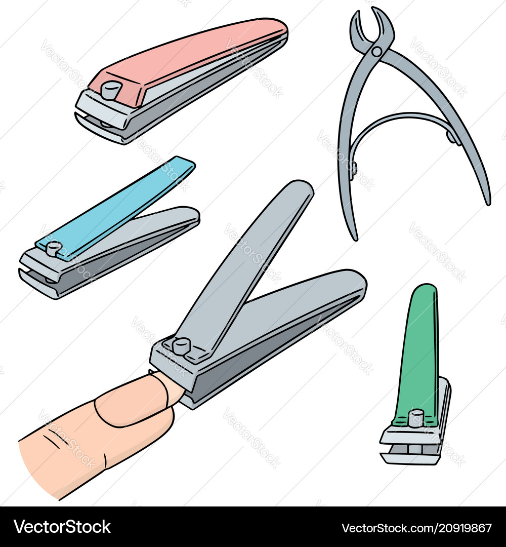 Set of nail clipper Royalty Free Vector Image VectorStock