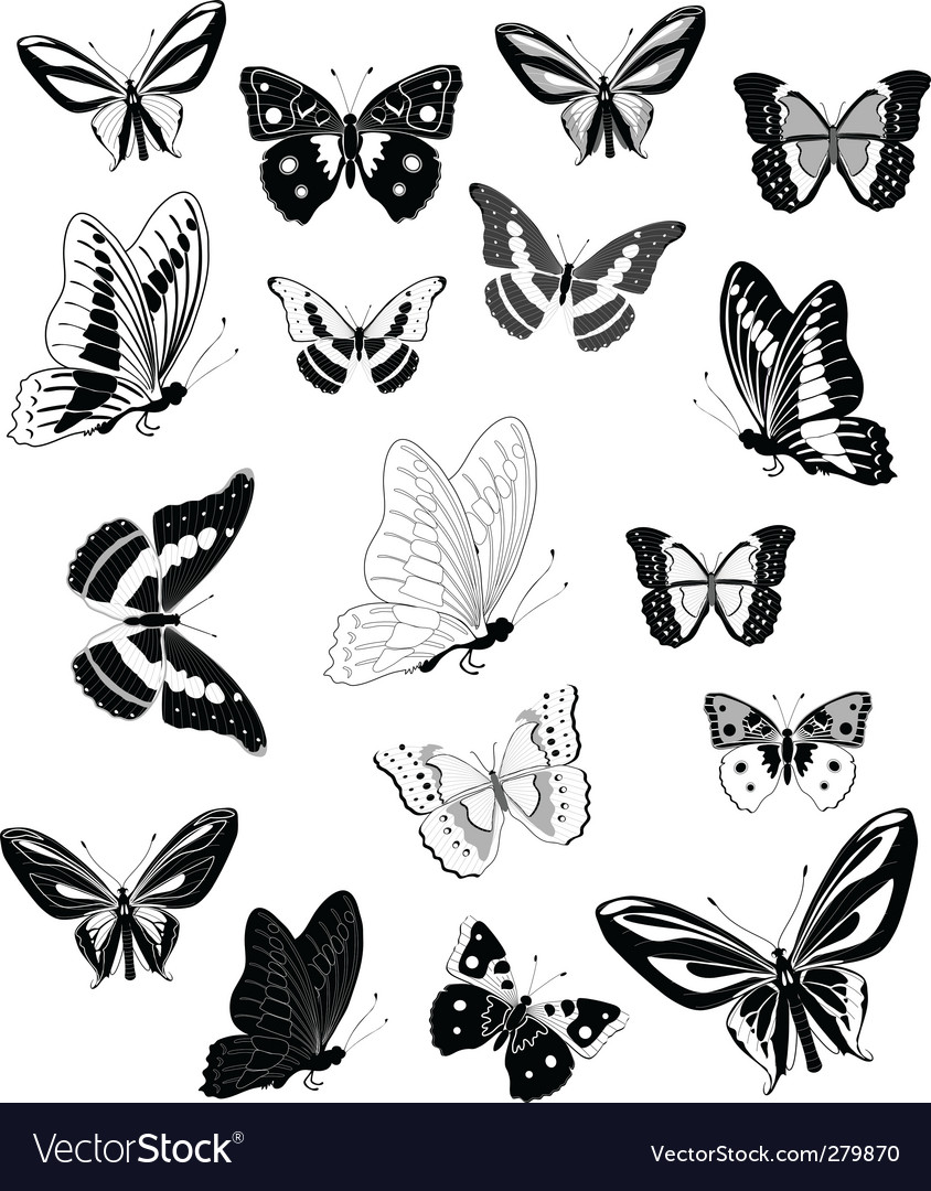 butterfly vector free