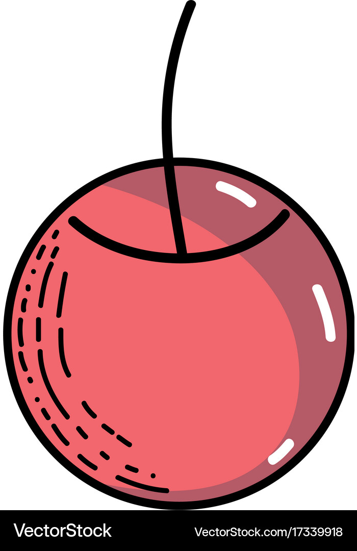 Delicious fresh cherry fruit nutrition Royalty Free Vector