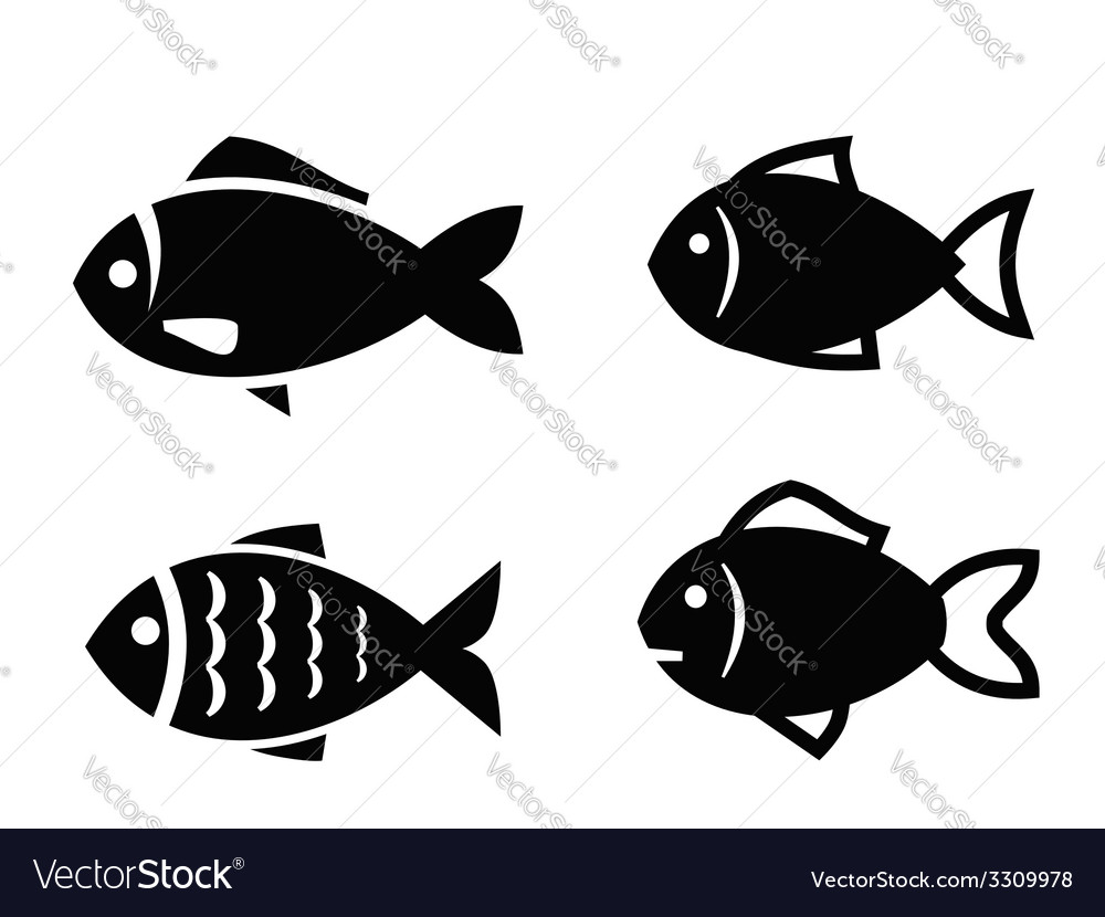 fish vector