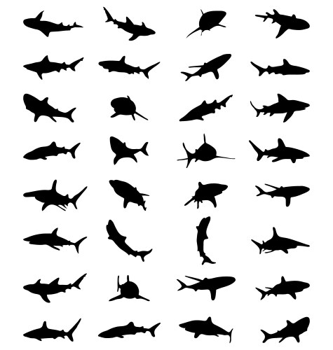 Shark Silhouettes - Black and White Vector Image