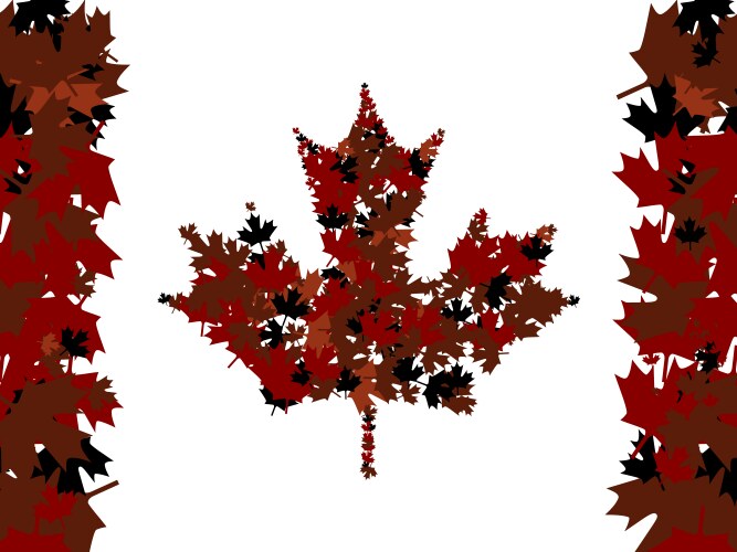 Maple frame Royalty Free Vector Image VectorStock