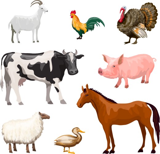 Animal farm set the horse pig cow goat and sheep Vector Image