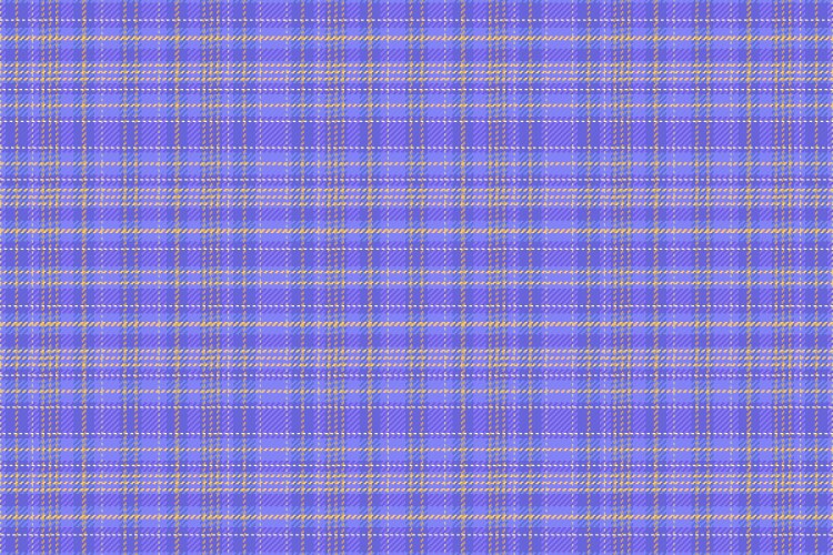 tartan plaid pattern with texture and summer color vector image