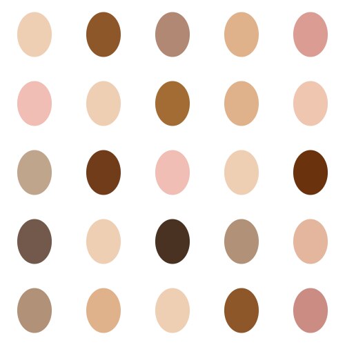 Different skin tones oval shapes on white vector image