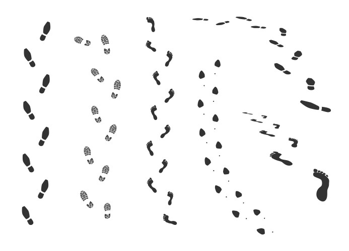Foot trail bare and shoe print human Vector Image