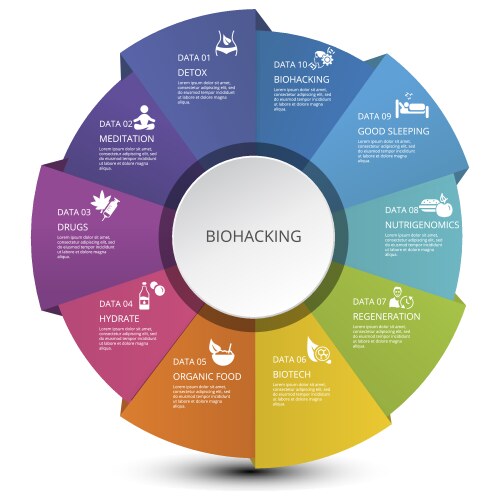 Infographic biohacking template icons vector image