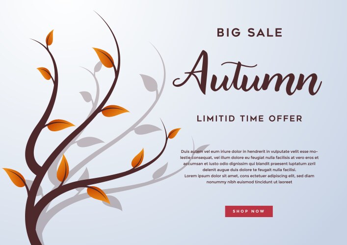 autumn sale background layout decorate with leaves vector image