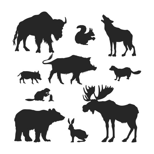 Wild forest animal silhouettes isolated drawing Vector Image