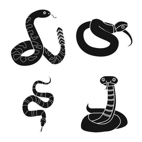 isolated object snake and creepy sign vector