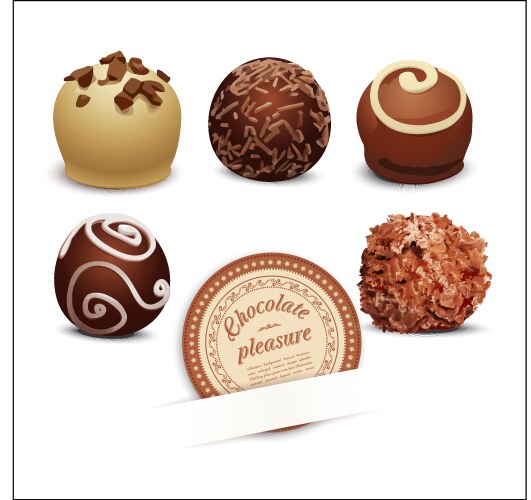 Set of chocolates vector image