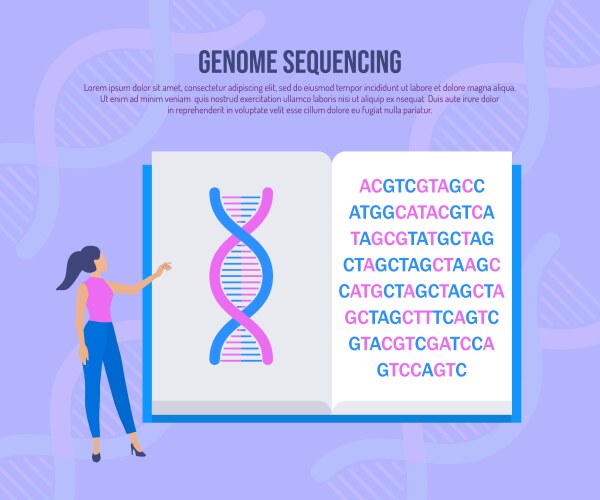 genetic engineering and genome sequencing concept vector image